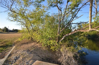 Fresh Water Canal with Seawall!!!! Canal has access to multiple - photo 3