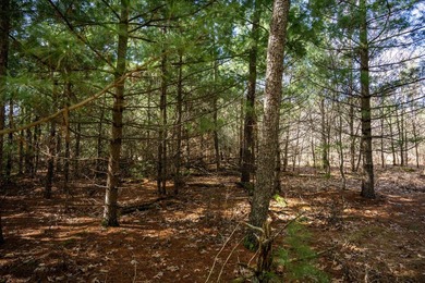Build Your Dream Home or Getaway Near Castle Rock Lake! Discover - photo 11