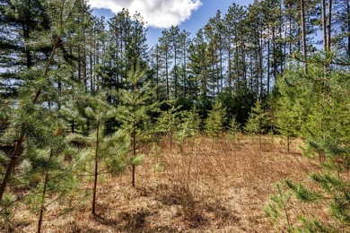 Build Your Dream Home or Getaway Near Castle Rock Lake! Discover - photo 12