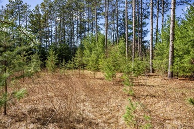 Build Your Dream Home or Getaway Near Castle Rock Lake! Discover - photo 13