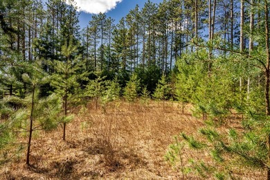 Build Your Dream Home or Getaway Near Castle Rock Lake! Discover - photo 14