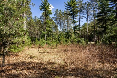 Build Your Dream Home or Getaway Near Castle Rock Lake! Discover - photo 15