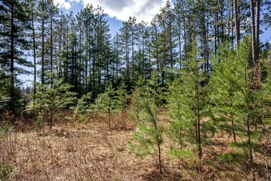 Build Your Dream Home or Getaway Near Castle Rock Lake! Discover - photo 16