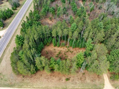 Build Your Dream Home or Getaway Near Castle Rock Lake! Discover - photo 26