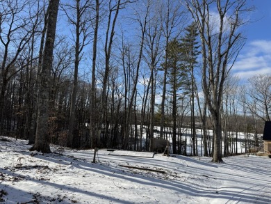 Lake Acreage For Sale in Dresden, Maine