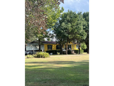 Lake Home For Sale in Alba, Texas