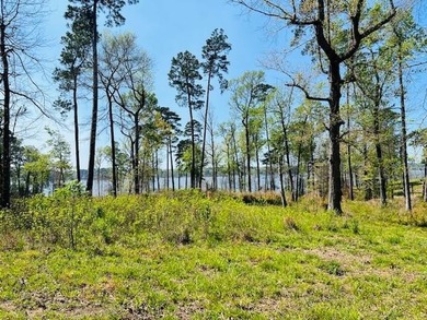 Toledo Bend Lake Acreage For Sale in Milam Texas