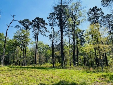 Beautiful interior Lot #8 (3.65 acres) in the desirable - photo 2