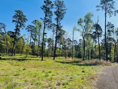 Beautiful interior Lot #8 (3.65 acres) in the desirable - photo 3