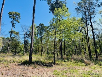 Beautiful interior Lot #8 (3.65 acres) in the desirable - photo 4