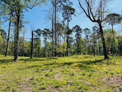 Beautiful interior Lot #8 (3.65 acres) in the desirable - photo 5