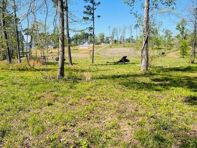 Beautiful interior Lot #8 (3.65 acres) in the desirable - photo 6