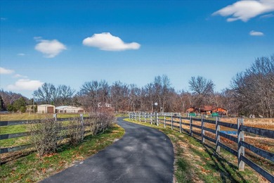 (private lake, pond, coastal) Home Sale Pending in Rogersville Missouri