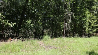 Nestled in the desirable Jackson Hill Subdivision, this unique - photo 2