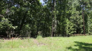 Nestled in the desirable Jackson Hill Subdivision, this unique - photo 3