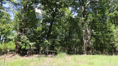 Nestled in the desirable Jackson Hill Subdivision, this unique - photo 4