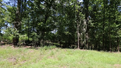 Nestled in the desirable Jackson Hill Subdivision, this unique - photo 5