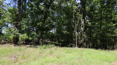 Nestled in the desirable Jackson Hill Subdivision, this unique - photo 6