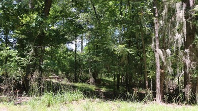 Nestled in the desirable Jackson Hill Subdivision, this unique - photo 7