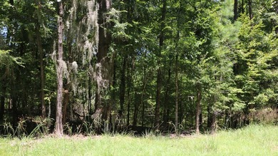 Nestled in the desirable Jackson Hill Subdivision, this unique - photo 9