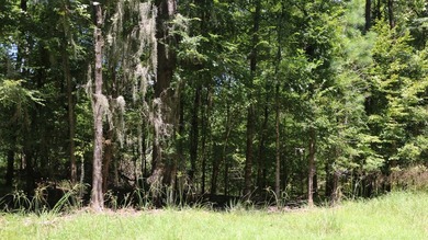 Nestled in the desirable Jackson Hill Subdivision, this unique - photo 10