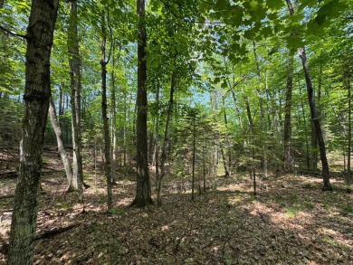 Lake Lot For Sale in Minocqua, Wisconsin