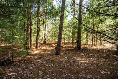 Build Your Dream Home or Getaway Near Castle Rock Lake! Discover - photo 16