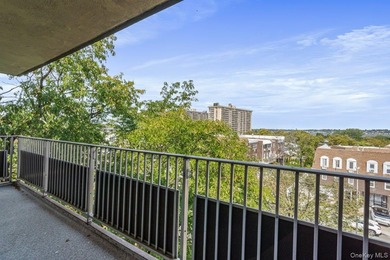 Beautiful 2 bedroom/ 2 bathroom coop with terrace. Brand new - photo 17