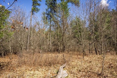 Build Your Dream Home or Getaway Near Castle Rock Lake! Discover - photo 17