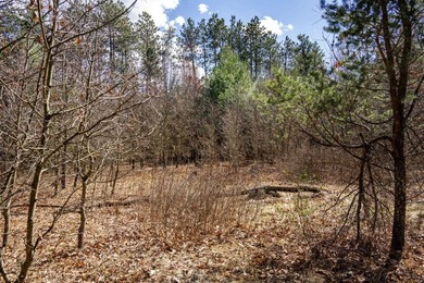 Build Your Dream Home or Getaway Near Castle Rock Lake! Discover - photo 18