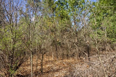 Build Your Dream Home or Getaway Near Castle Rock Lake! Discover - photo 19