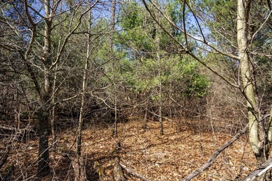 Build Your Dream Home or Getaway Near Castle Rock Lake! Discover - photo 20