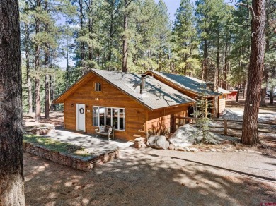 Lake Home For Sale in Bayfield, Colorado