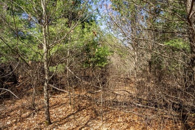 Build Your Dream Home or Getaway Near Castle Rock Lake! Discover - photo 21