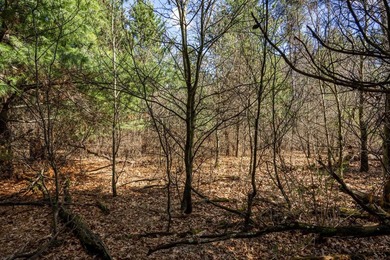 Build Your Dream Home or Getaway Near Castle Rock Lake! Discover - photo 23