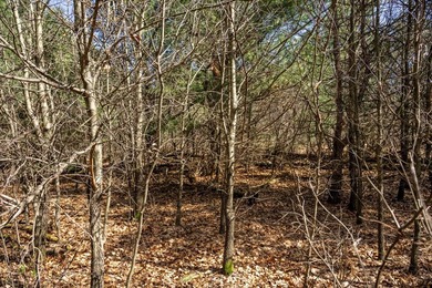 Build Your Dream Home or Getaway Near Castle Rock Lake! Discover - photo 24