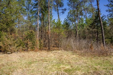 Build Your Dream Home or Getaway Near Castle Rock Lake! Discover - photo 27