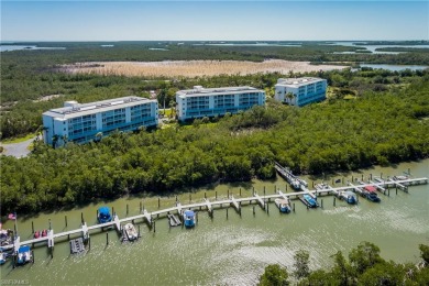 Big Marco River / Marco Pass Condo For Sale in Marco Island Florida