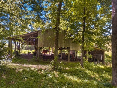 Welcome home to 1456 C H Rankin Road in White Pine -- a rare - photo 48
