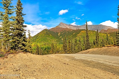 Hundred Mile Lake Acreage For Sale in Chickaloon Alaska