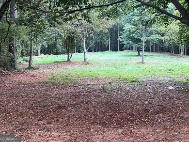 (private lake, pond, coastal) Acreage For Sale in Decatur Georgia