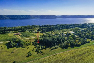 Lake Pepin  Acreage For Sale in Pepin Wisconsin