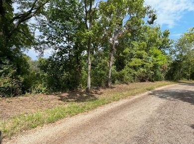 Detroit River Lot For Sale in Grosse Ile Michigan