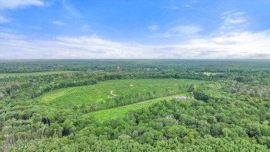 Rare opportunity! Prime land in Copiah County. 111 acres+- - photo 12