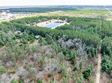 Build Your Dream Home or Getaway Near Castle Rock Lake! Discover - photo 12