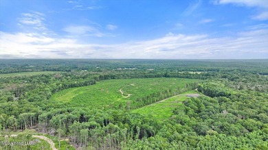 Rare opportunity! Prime land in Copiah County. 111 acres+- - photo 13