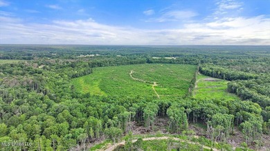 Rare opportunity! Prime land in Copiah County. 111 acres+- - photo 14