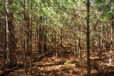 Build Your Dream Home or Getaway Near Castle Rock Lake! Discover - photo 14