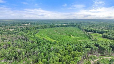 Rare opportunity! Prime land in Copiah County. 111 acres+- - photo 15