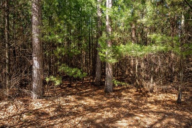 Build Your Dream Home or Getaway Near Castle Rock Lake! Discover - photo 15